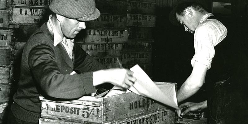 Taylors Bulbs Post 1919