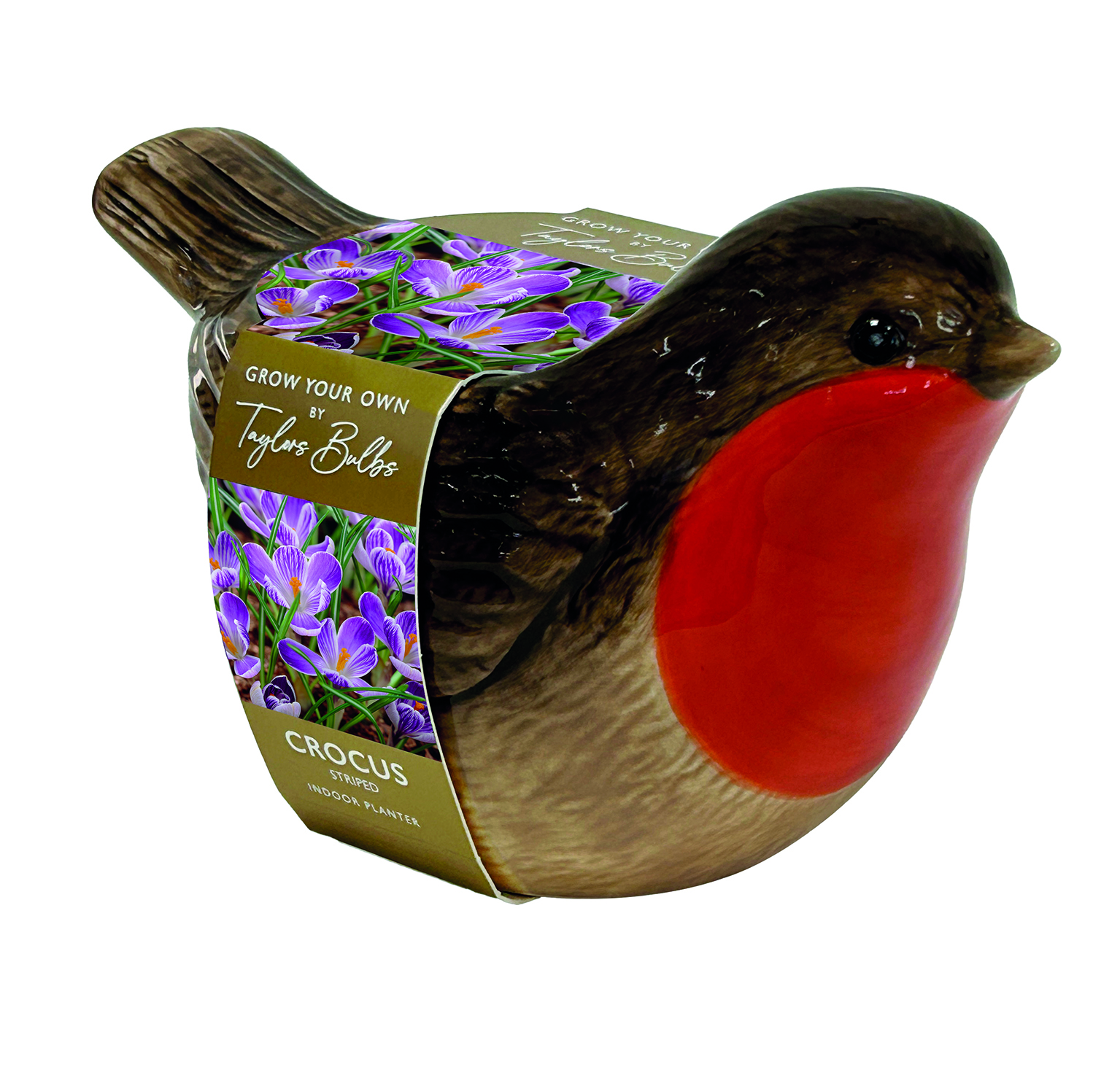 AH91 - Robin Planter NEW