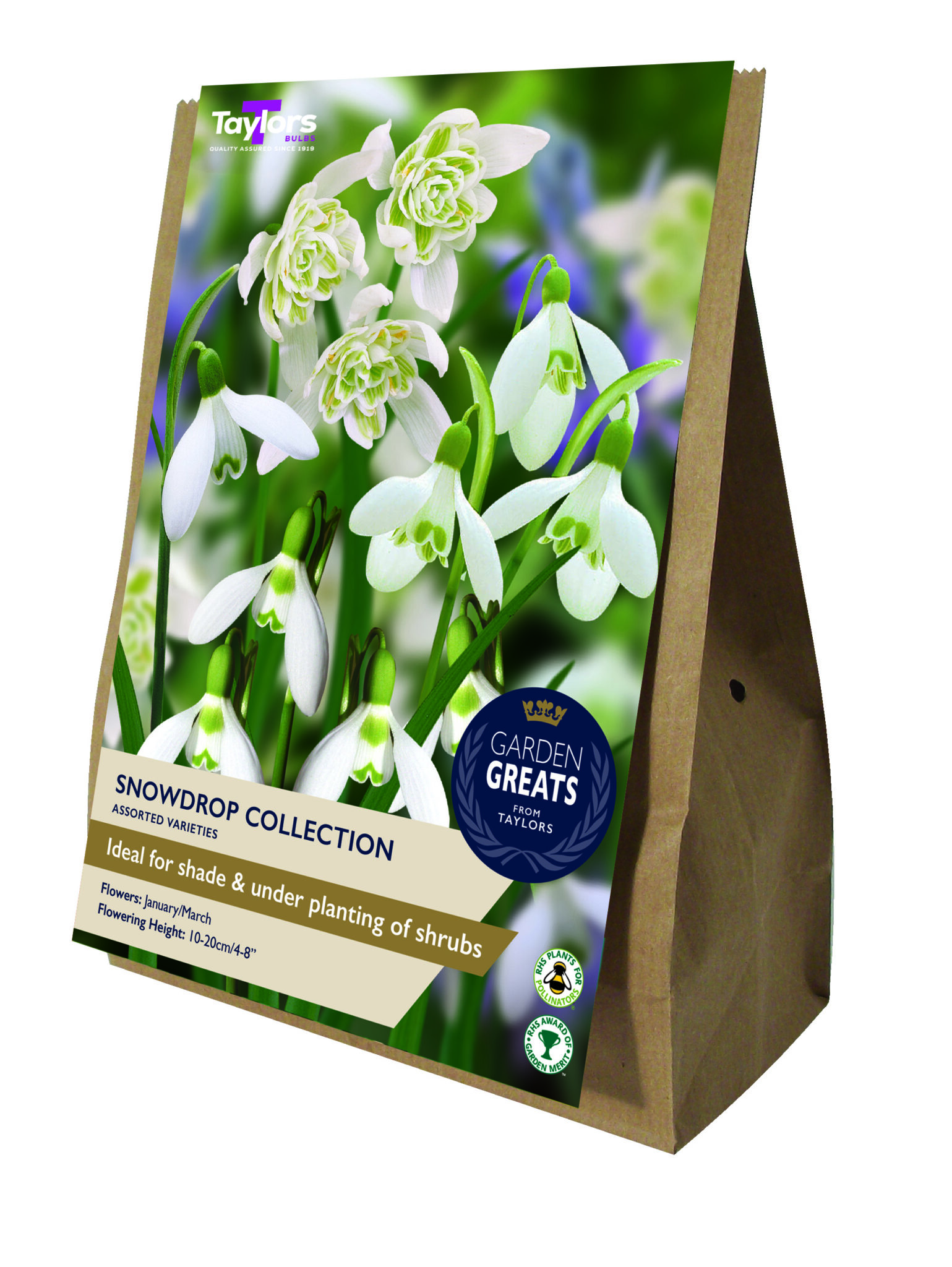 Spring Flowering Bulbs - Taylors Bulbs